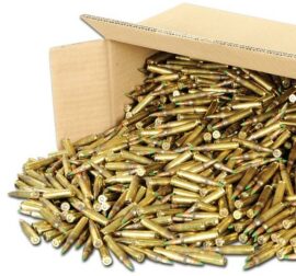 M855 1000 rounds