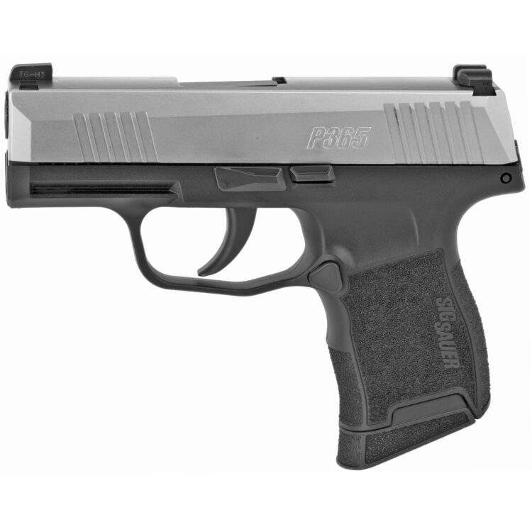 Sig P365 Stainless Slide